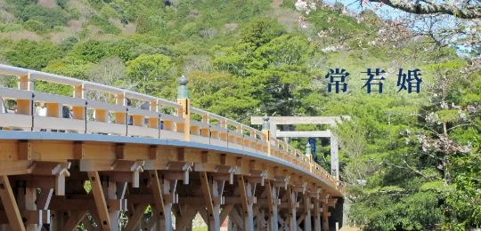 伊勢常若婚の伊勢神宮内宮の宇治橋