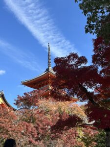 結婚相談所 京都 清水寺